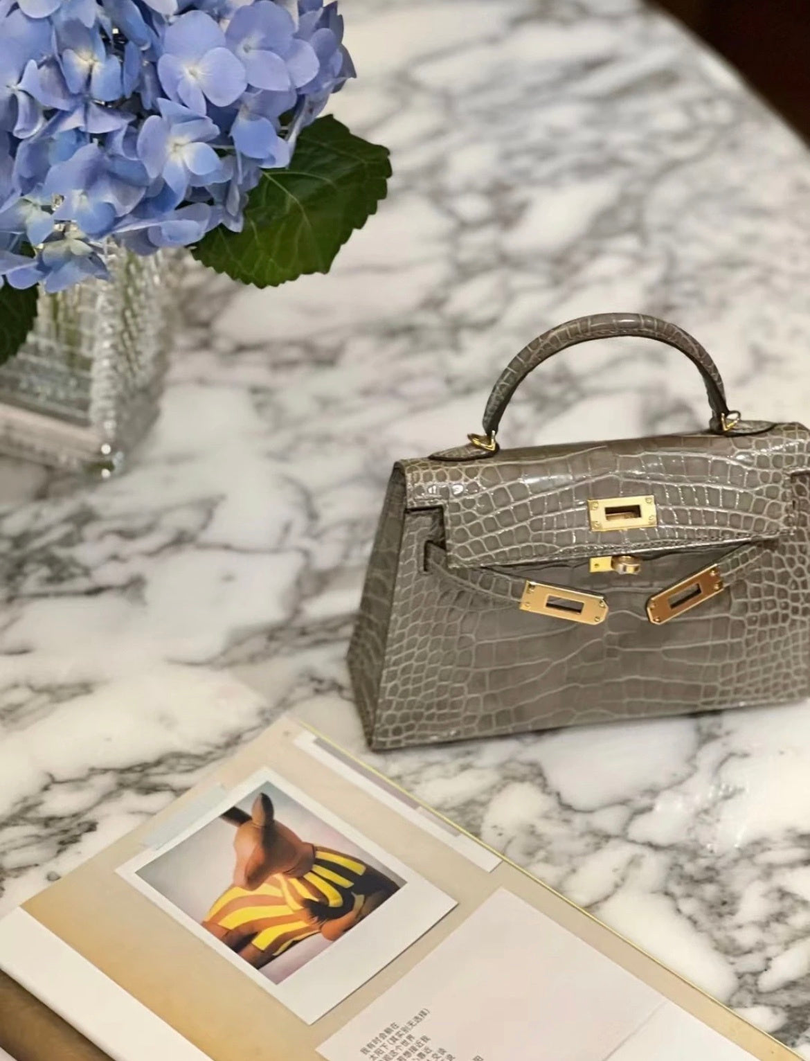 TAUPE CROCODILE BAG
